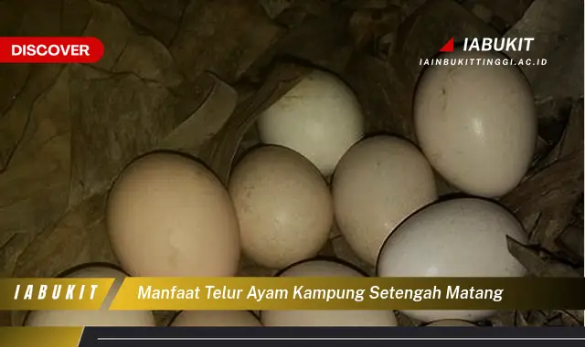 manfaat telur ayam kampung setengah matang