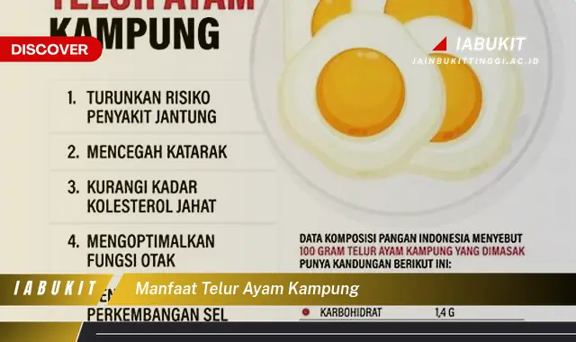 manfaat telur ayam kampung