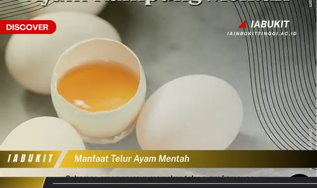 manfaat telur ayam mentah