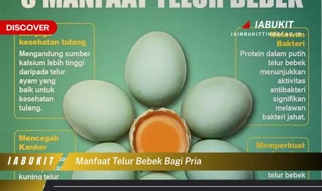 manfaat telur bebek bagi pria