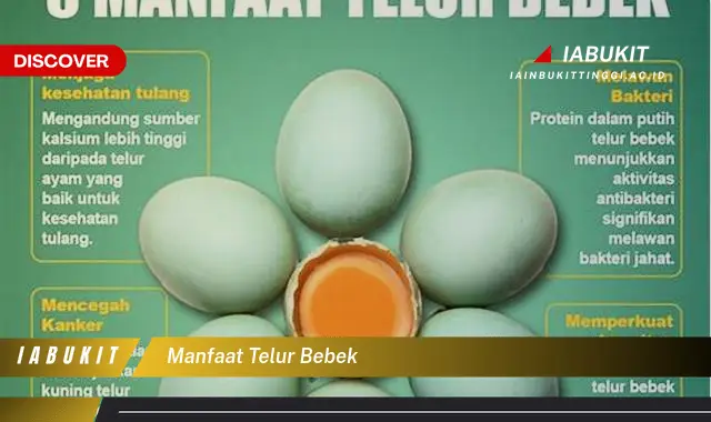 manfaat telur bebek