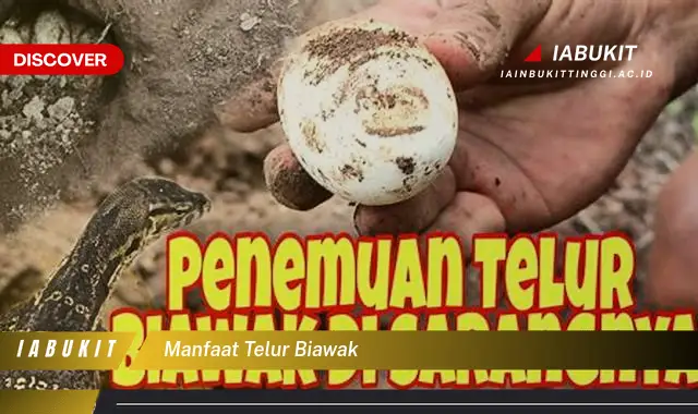 manfaat telur biawak