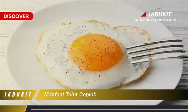 manfaat telur ceplok