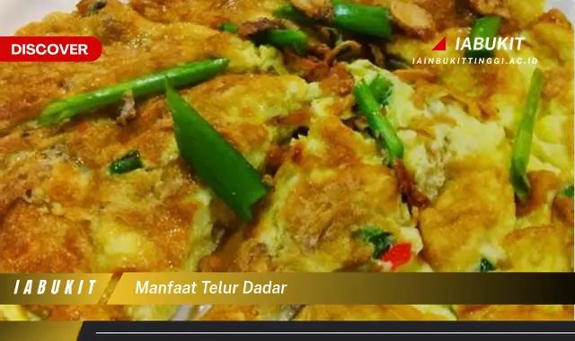 manfaat telur dadar