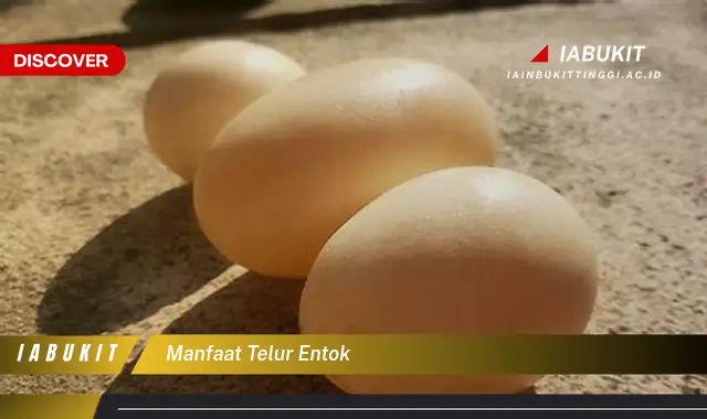 manfaat telur entok