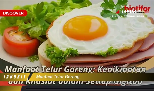 manfaat telur goreng