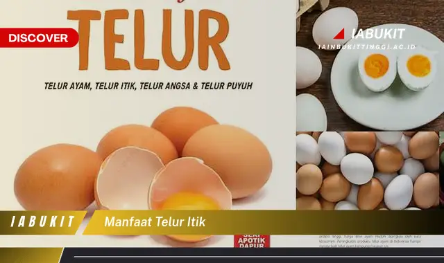 Temukan Manfaat Telur Itik Jarang Diketahui Bikin Kamu Penasaran