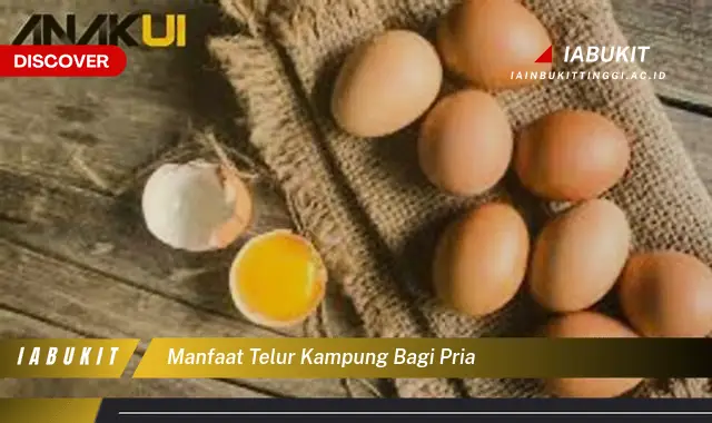 manfaat telur kampung bagi pria