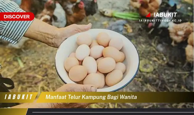 manfaat telur kampung bagi wanita