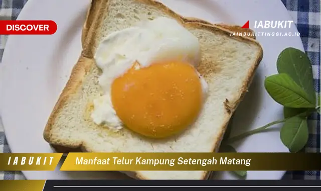 manfaat telur kampung setengah matang