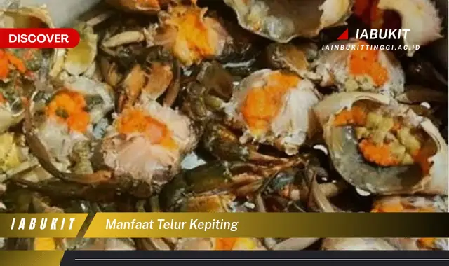 manfaat telur kepiting