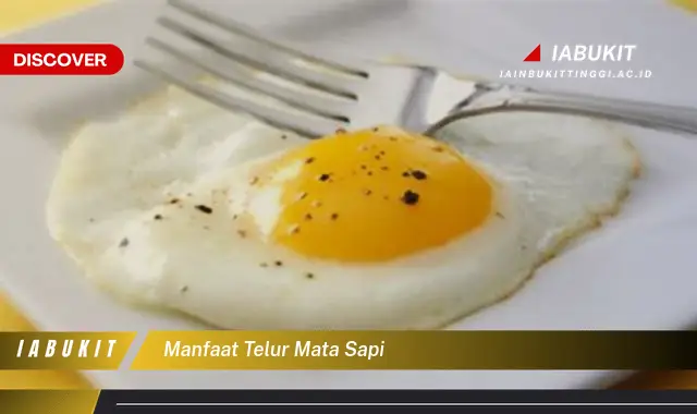 manfaat telur mata sapi