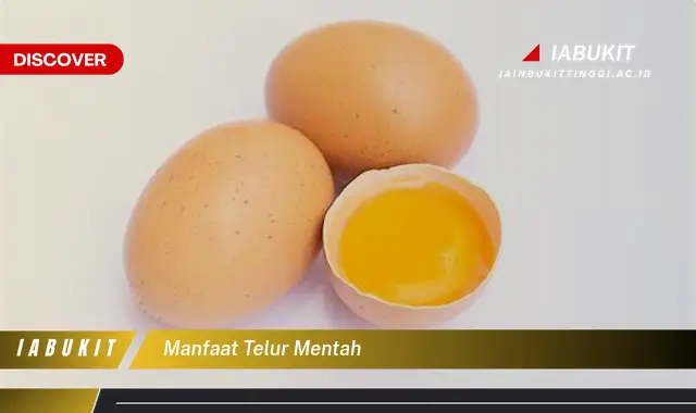 manfaat telur mentah