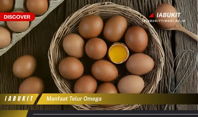 manfaat telur omega