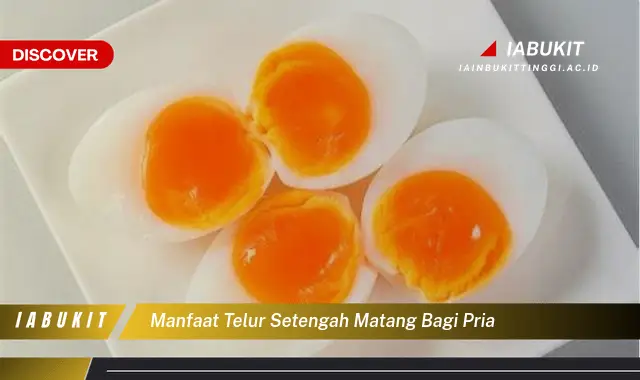 manfaat telur setengah matang bagi pria manfaat telur setengah matang bagi pria