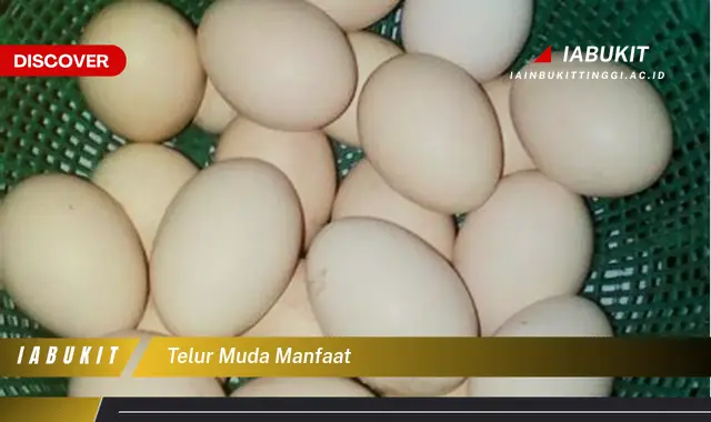 telur muda manfaat