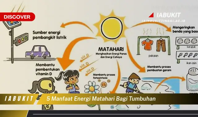 5 manfaat energi matahari bagi tumbuhan