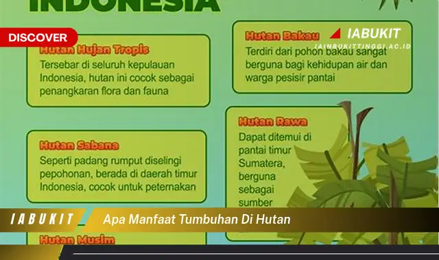 apa manfaat tumbuhan di hutan