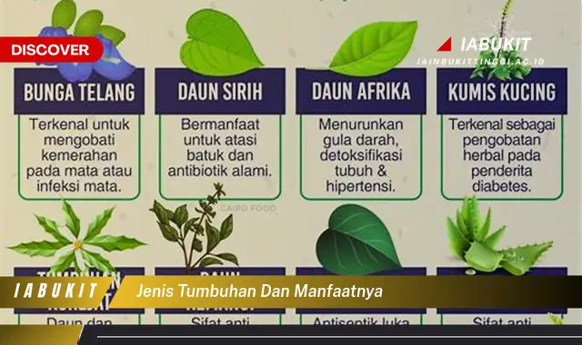 jenis tumbuhan dan manfaatnya