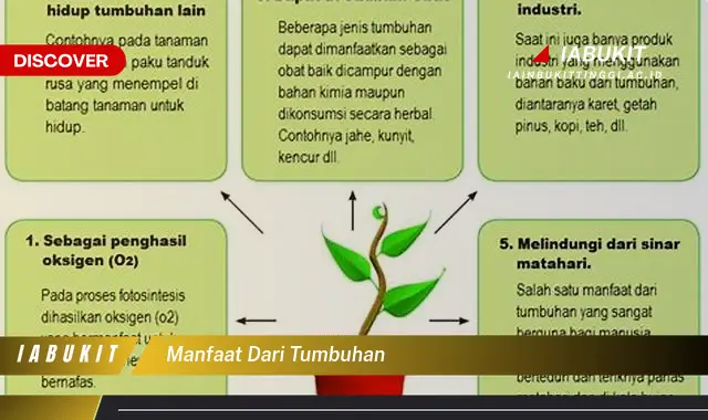 manfaat dari tumbuhan