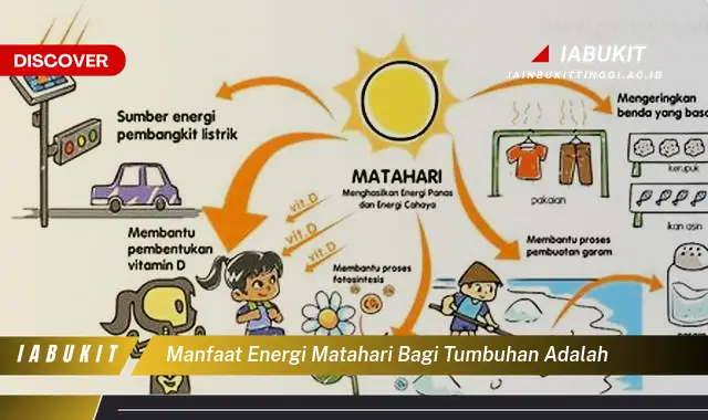 manfaat energi matahari bagi tumbuhan adalah manfaat energi matahari bagi tumbuhan adalah