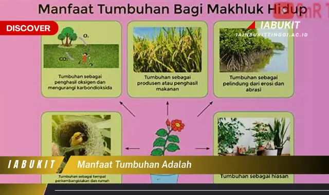 manfaat tumbuhan adalah