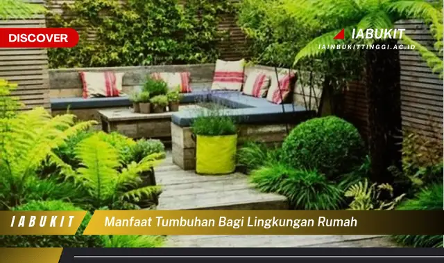 manfaat tumbuhan bagi lingkungan rumah