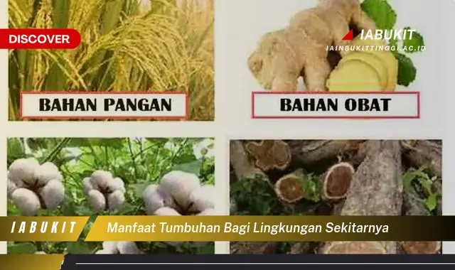 manfaat tumbuhan bagi lingkungan sekitarnya