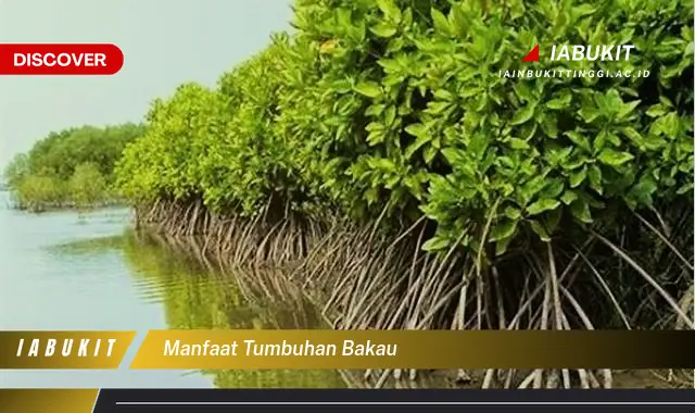 manfaat tumbuhan bakau