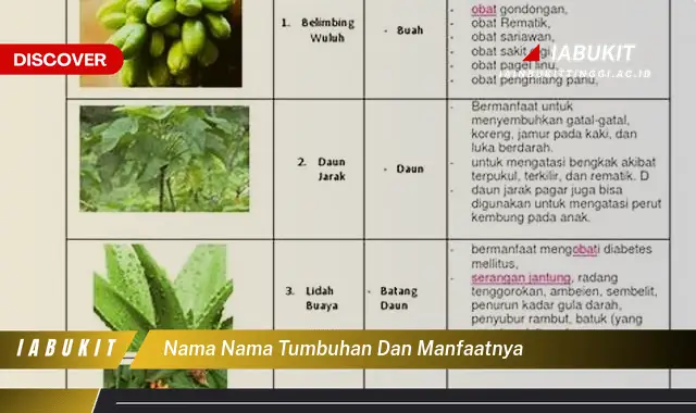 nama nama tumbuhan dan manfaatnya