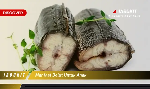 manfaat belut untuk anak