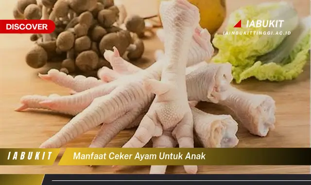 manfaat ceker ayam untuk anak