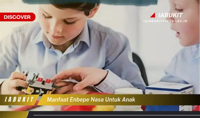 manfaat enbepe nasa untuk anak