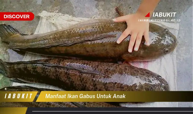 manfaat ikan gabus untuk anak