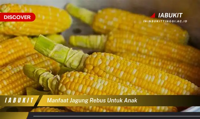 Kamu Wajib Tau, Inilah 7 Manfaat Jagung Rebus untuk Anak yang Jarang Diketahui