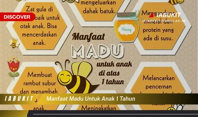 manfaat madu untuk anak 1 tahun