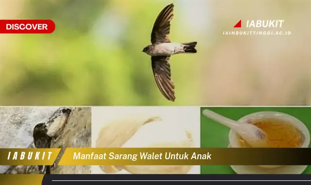 manfaat sarang walet untuk anak