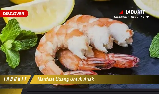 manfaat udang untuk anak