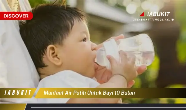 manfaat air putih untuk bayi 10 bulan