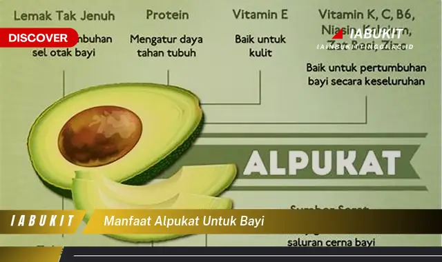 manfaat alpukat untuk bayi