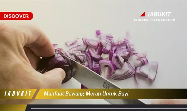 manfaat bawang merah untuk bayi