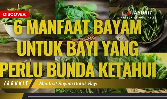 manfaat bayam untuk bayi