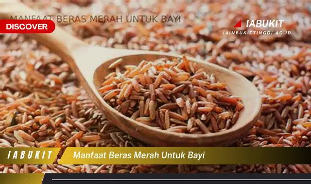 manfaat beras merah untuk bayi