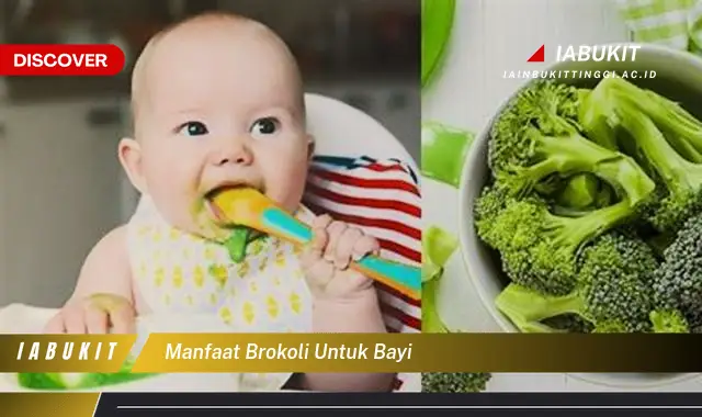 manfaat brokoli untuk bayi