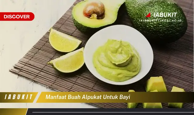 manfaat buah alpukat untuk bayi