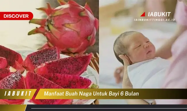 manfaat buah naga untuk bayi 6 bulan