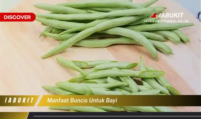 manfaat buncis untuk bayi manfaat buncis untuk bayi