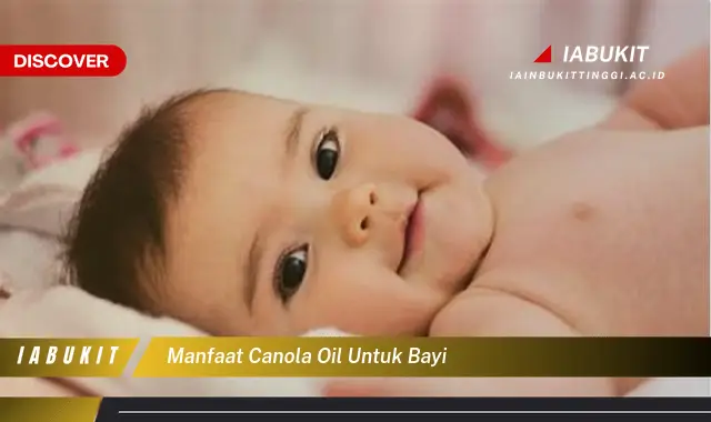 manfaat canola oil untuk bayi