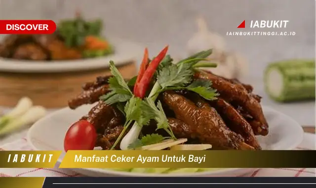 manfaat ceker ayam untuk bayi manfaat ceker ayam untuk bayi