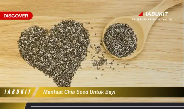 manfaat chia seed untuk bayi